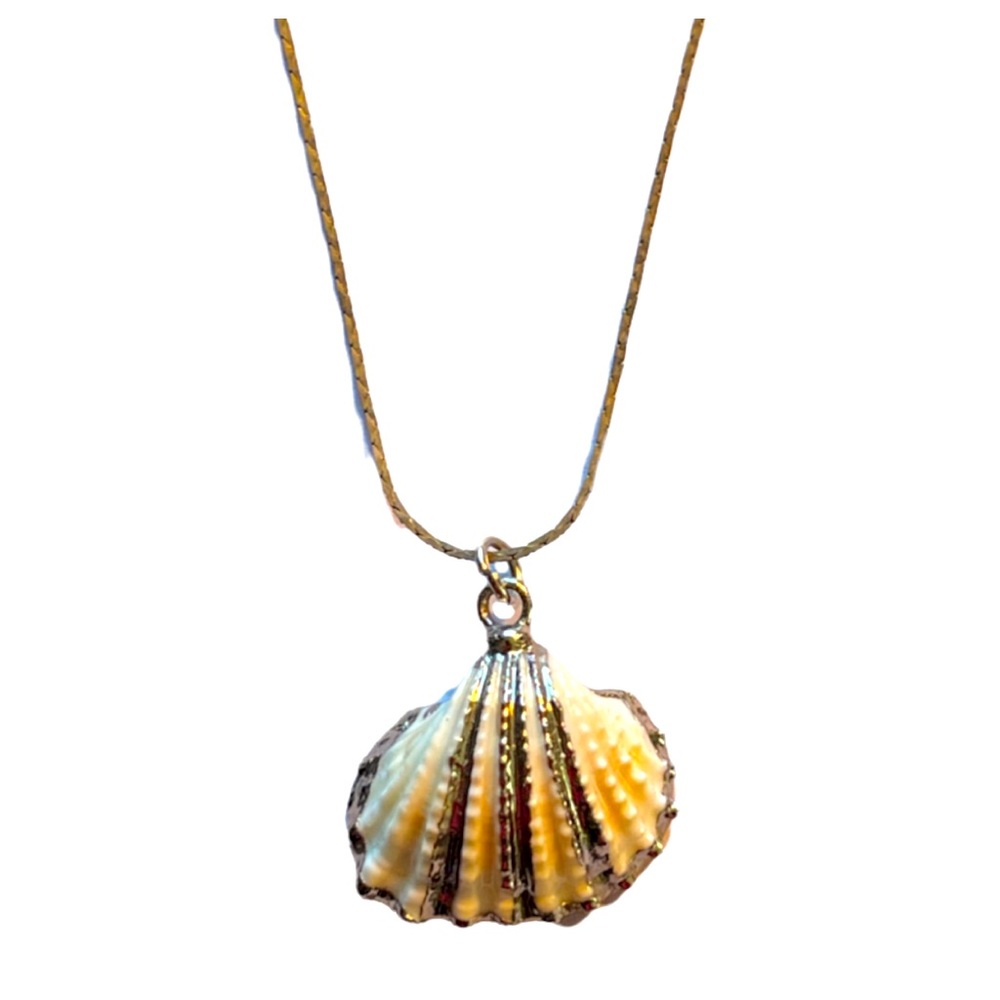 DELICATE SCALLOP SHELL NECKLACE 🌟enamel w/silver tone serpentine chain